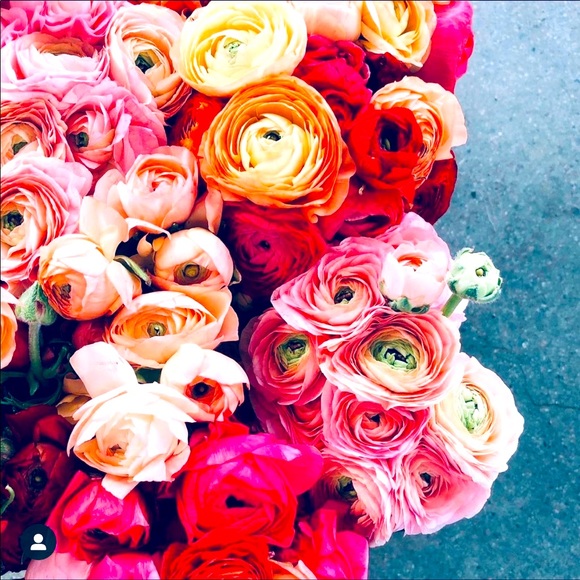 Meet your Posher, Becky - Picture 1 of 1